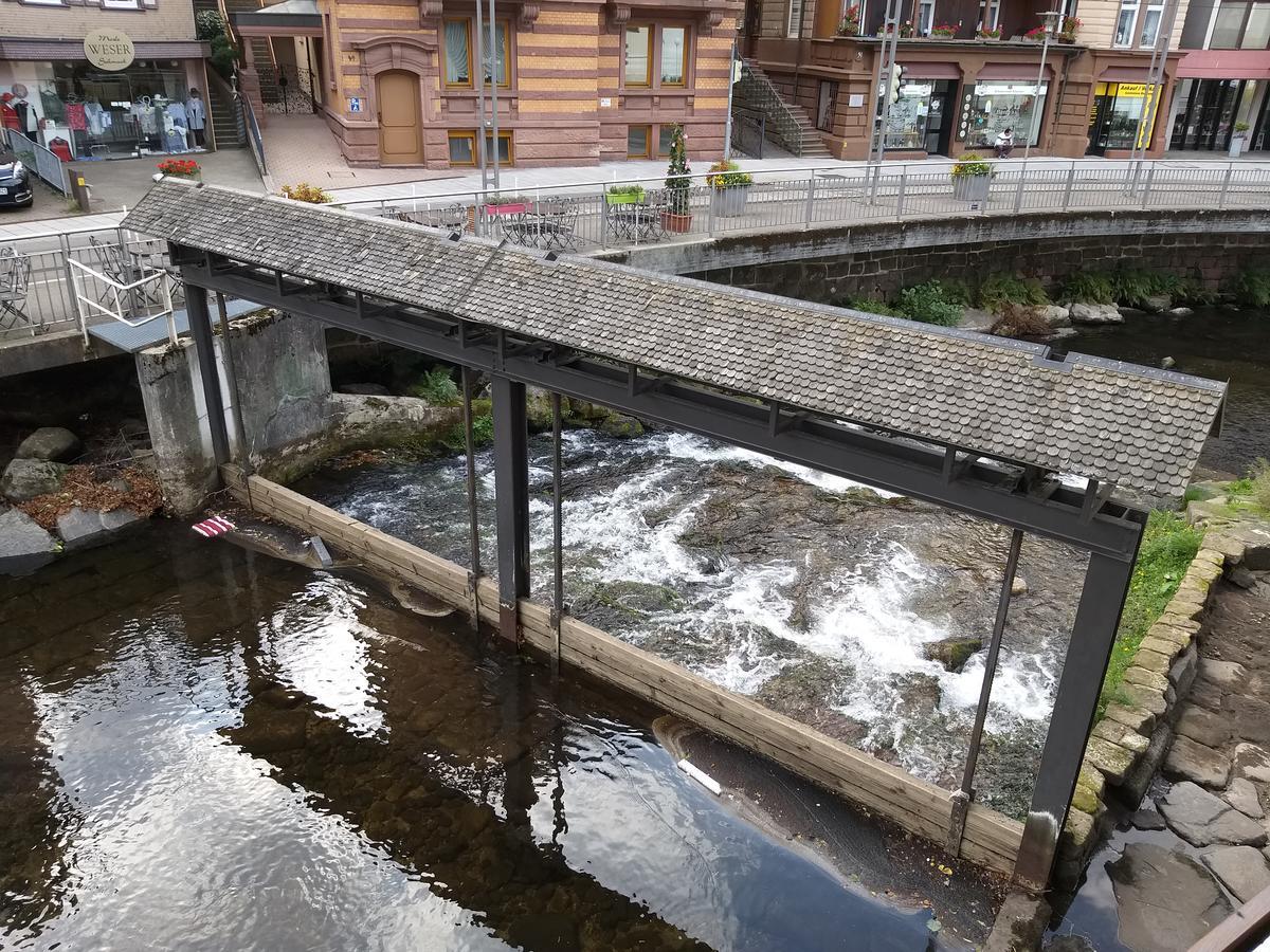 Hotel Sonne Bad Wildbad Dış mekan fotoğraf